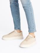 TOMMY HILFIGER Sneaker low  beige