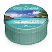 Country Candle Tropical Waters Daylight 42 g