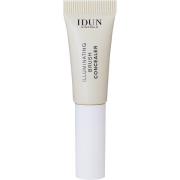 IDUN Minerals Illuminating Brush Concealer Raps