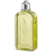 L'Occitane Citrus Verbena Shampoo 250 ml