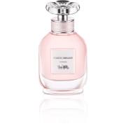 Coach Dreams Edp  40 ml