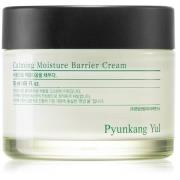 Pyunkang Yul Calming Moisture Barrier Cream 50 ml