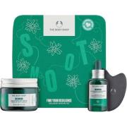 The Body Shop Edelweiss Find Your Resilience Edelweiss Skincare G