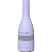 Björn Axen Cool Blonde Cool Blonde Coloring Silver Conditioner 25