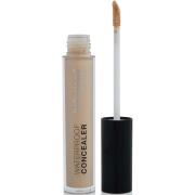 BellaPierre Waterproof Concealer Ivory