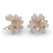 Lily and Rose Eugenie earrings Ivory