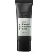 Frudia Frudia Re:proust Essential Blemish Recovery Balm SPF50+ 40