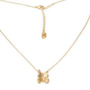 Lily and Rose Brigitte Necklace Champagne mist