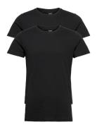 Rt Organic Cotton 2-Pack Tee Resteröds Black