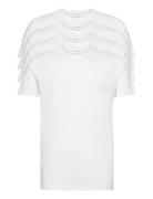 4Pk Basic Tee S/S Lindbergh White