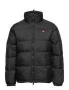 Waldenburg Jacket Dickies Black