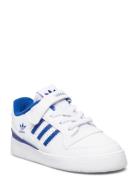 Forum Low I Adidas Originals White