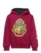 Sweat Harry Potter Red