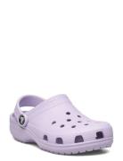 Classic Clog K Crocs Purple
