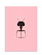 Myren Rosa Brainchild Patterned