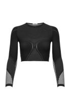 Zen Crop Longsleeve Wolford Black