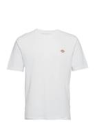 Ss Mapleton Tee Dickies White