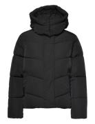 Modern Padded Jacket Calvin Klein Black