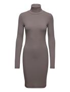 Modal Rib Roll Neck Dress Calvin Klein Brown