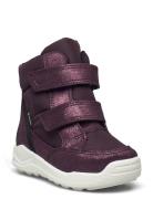 Urban Mini ECCO Purple