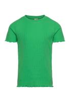 Pkdora Ss O-Neck Solid Rib Top Little Pieces Green