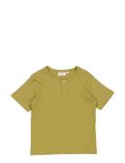 T-Shirt Lumi Wheat Green