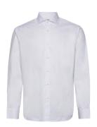 Shirt .-- Italia Mango White