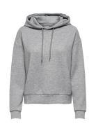 Onplounge Life Hood Ls Swt Noos Only Play Grey