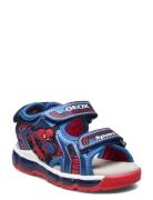 J Sandal Android Boy GEOX Patterned