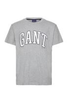 Md. Gant T-Shirt GANT Grey