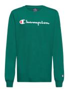 Long Sleeve T-Shirt Champion Green