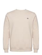 Oakport Sweatshirt Dickies Cream