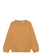 Knit Cotton Sweater Mango Yellow