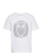 Regular Fit Owl Chest Print - Gots/ Knowledge Cotton Apparel White