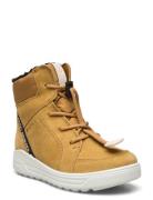 Urban Snowboarder ECCO Brown