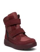 Urban Snowboarder ECCO Burgundy