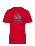 U Bl Tee Adidas Sportswear Red