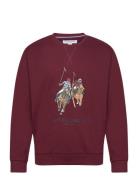 Uspa Sweat O Neck Ekrem Men U.S. Polo Assn. Burgundy