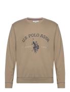 Uspa Sweatshirt Brant Men U.S. Polo Assn. Brown