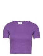 Jxflorie Str Ss Rib Tee Jrs Noos JJXX Purple