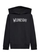 Nlfsille Wednesday Sweat Wh Bru Sky LMTD Black