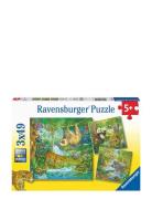 In The Jungle 3X49P Ravensburger Patterned