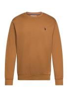 Uspa Sweat O Neck Adler Men U.S. Polo Assn. Brown