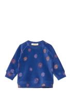 Sgbalexi Velvet Flower Sweat Soft Gallery Blue