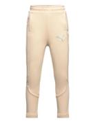 Evostripe Pants B PUMA Beige