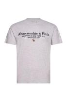 Anf Mens Graphics Abercrombie & Fitch Grey