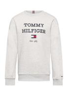 Th Logo Sweatshirt Tommy Hilfiger Grey