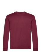 Basic Longsleeve T-Shirt Tom Tailor Burgundy