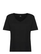 100% Cotton V-Neck T-Shirt Mango Black