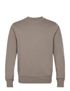 Lightweight Cotton Sweatshirt Mango Brown